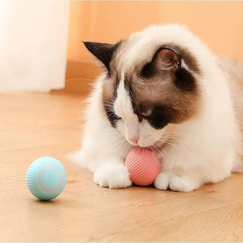 Smart Motion Rolling Ball – Auto-Play Pet Toy