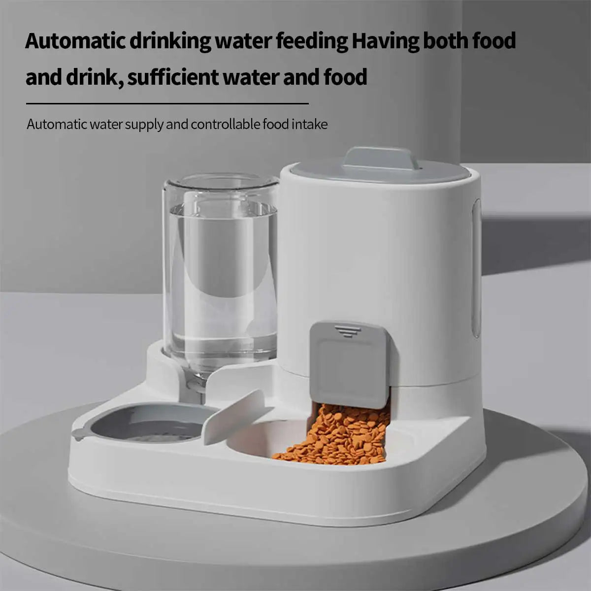 Dual-Purpose Pet Feeder & Water Dispenser