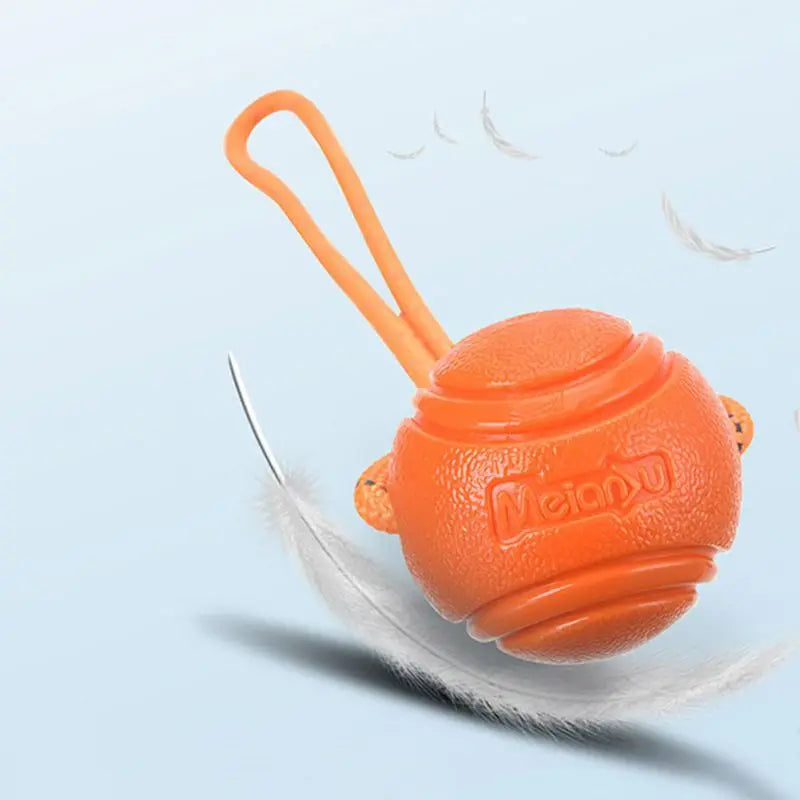 Bouncy Rope Ball Tug Toy