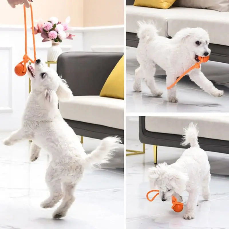 Bouncy Rope Ball Tug Toy