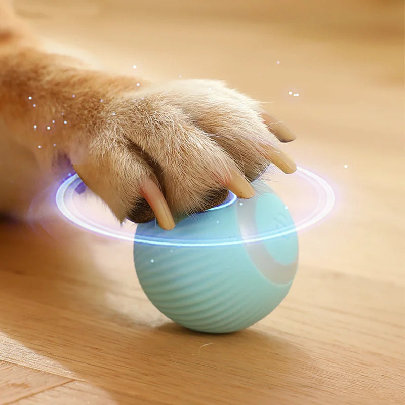 Smart Motion Rolling Ball – Auto-Play Pet Toy