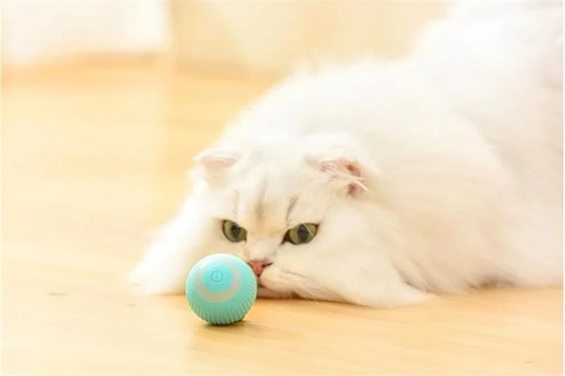 Smart Motion Rolling Ball – Auto-Play Pet Toy