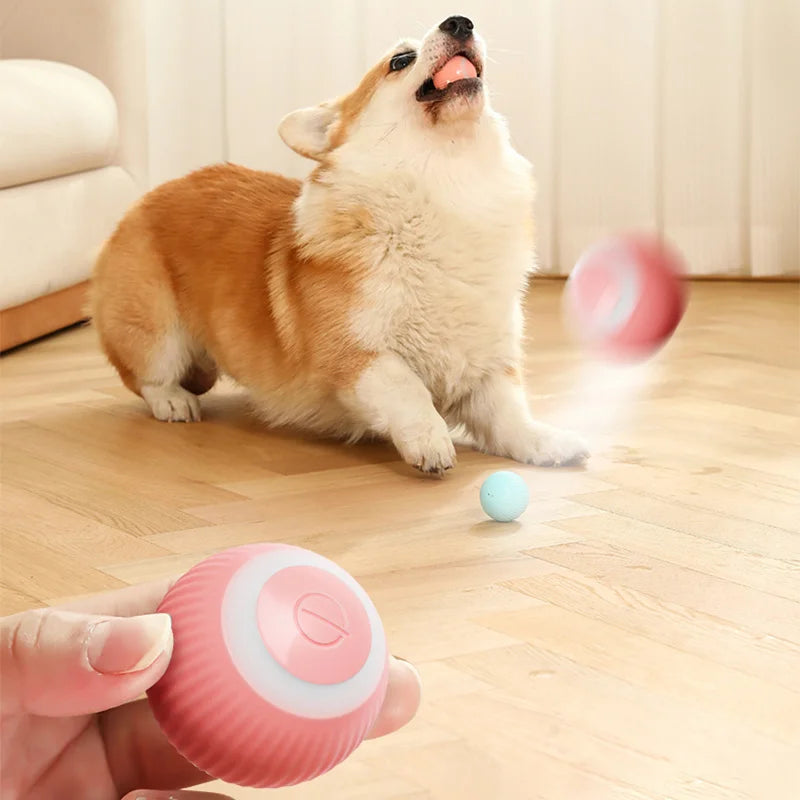 Smart Motion Rolling Ball – Auto-Play Pet Toy