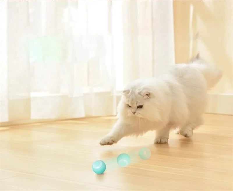 Smart Motion Rolling Ball – Auto-Play Pet Toy