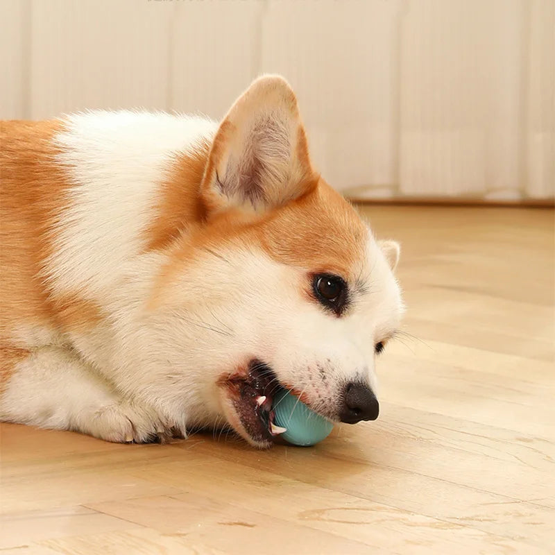 Smart Motion Rolling Ball – Auto-Play Pet Toy